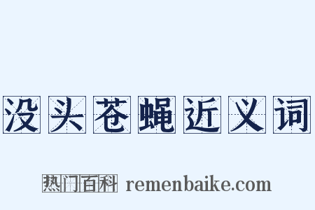 没头苍蝇近义词是什么意思的图片